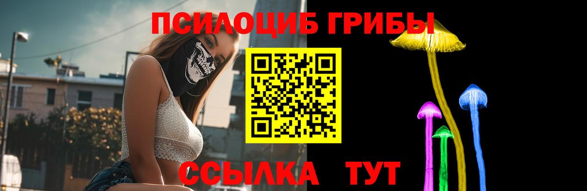 Верхняя Салда  Галлюциногенные грибы Psilocybine cubensis  Псилоцибиновые грибы мицелий  Вход с VPN 